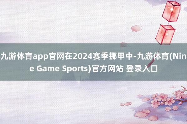 九游体育app官网在2024赛季挪甲中-九游体育(Nine Game Sports)官方网站 登录入口
