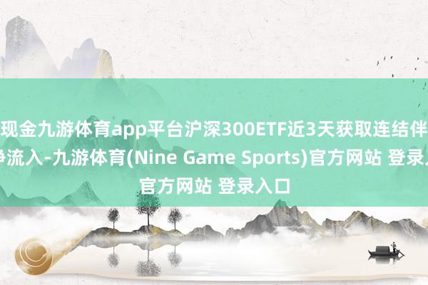 现金九游体育app平台沪深300ETF近3天获取连结伴金净流入-九游体育(Nine Game Sports)官方网站 登录入口