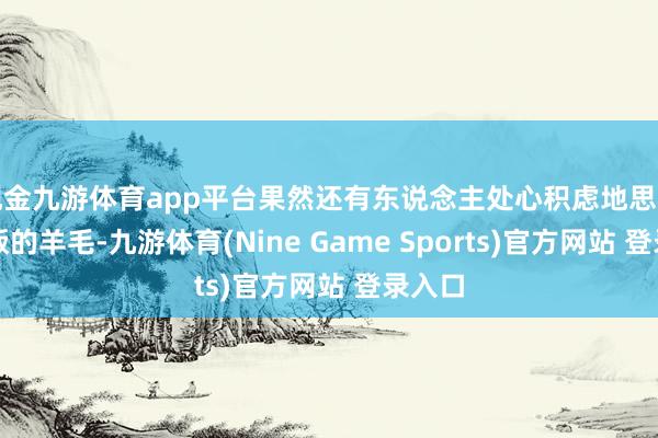 现金九游体育app平台果然还有东说念主处心积虑地思着薅摊贩的羊毛-九游体育(Nine Game Sports)官方网站 登录入口